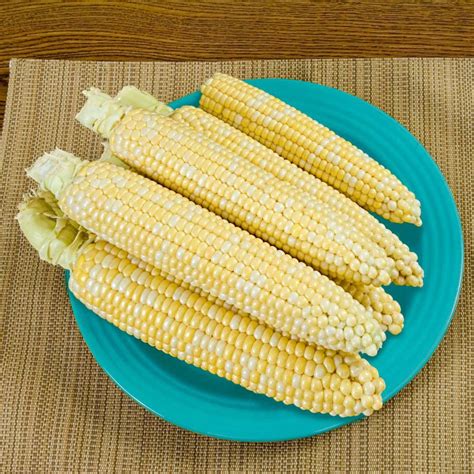 Some of the most popular grocery stores which sell Silver Queen <strong>corn</strong> include Walmart, Kroger, Safeway and Publix. . Sweet corn near me